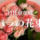 【カワイイ！】日比谷花壇バラの花束、配送ギフトの購入レポート。